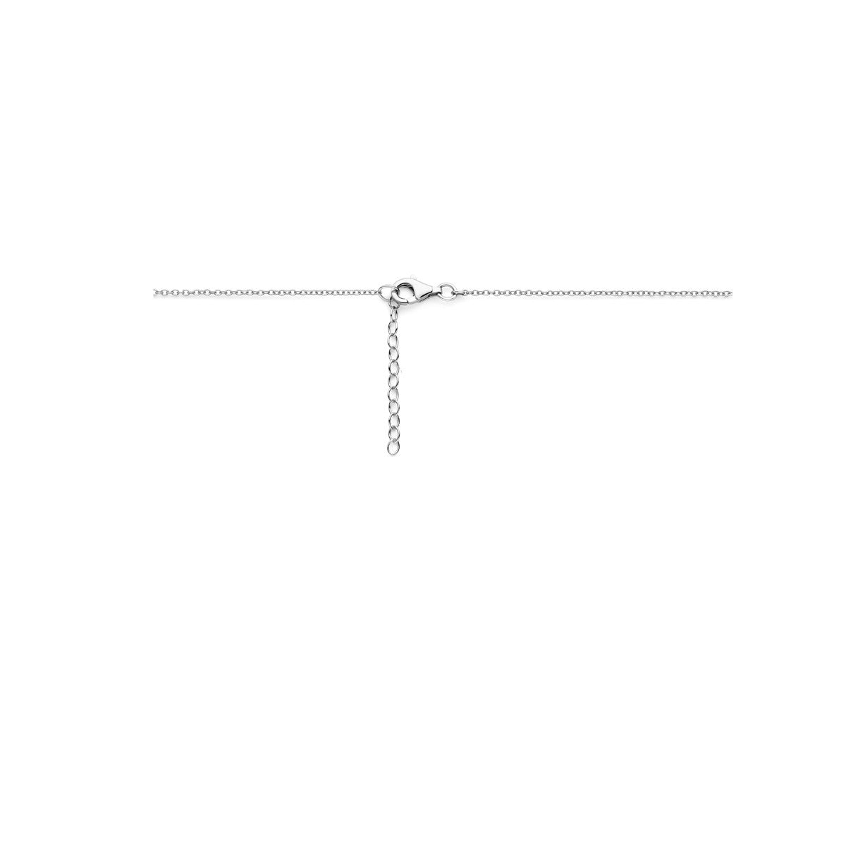Fantasy Collection Collier hondenpoot 36 + 3 cm zilver