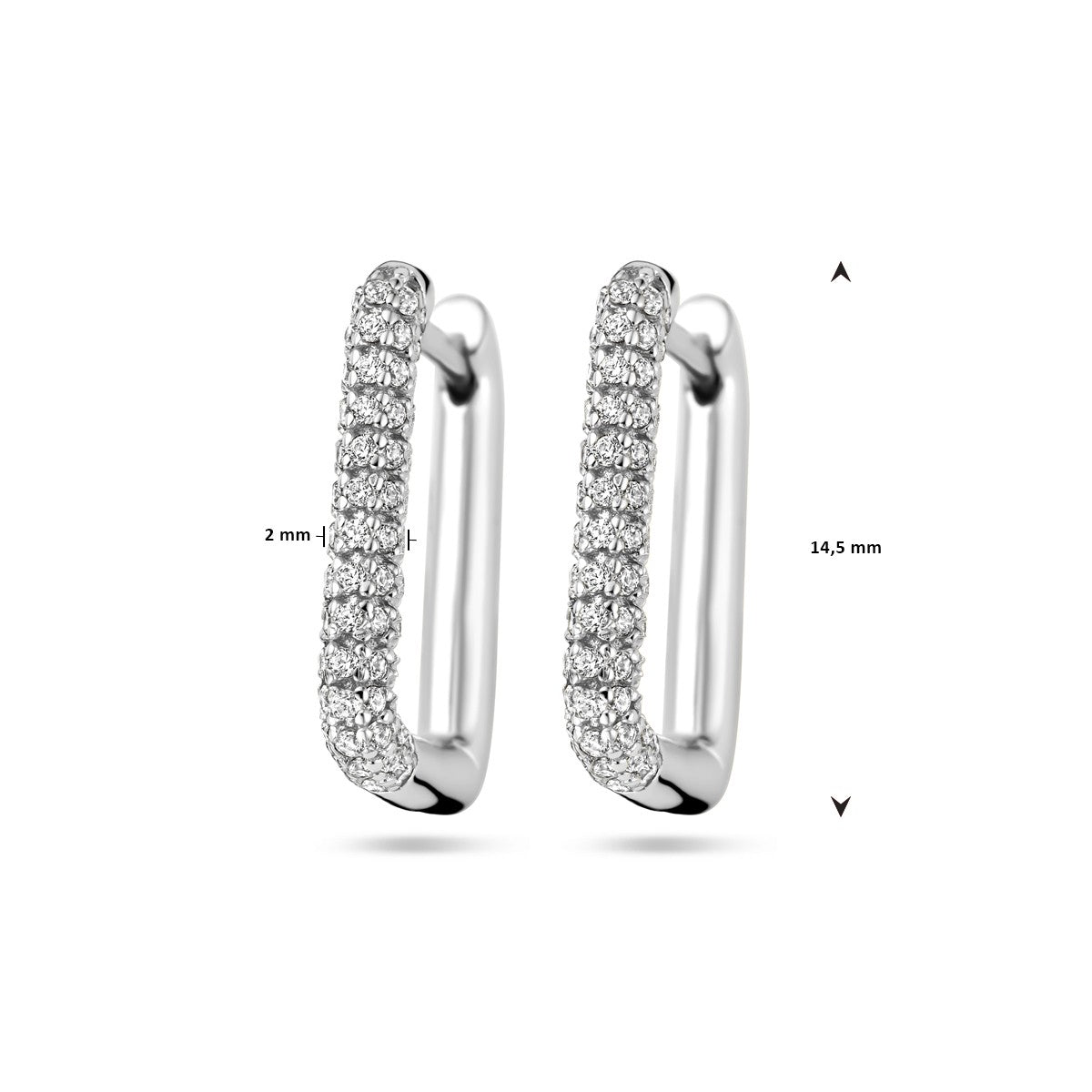 Fantasy Collection Oorbellen zirkonia zilver