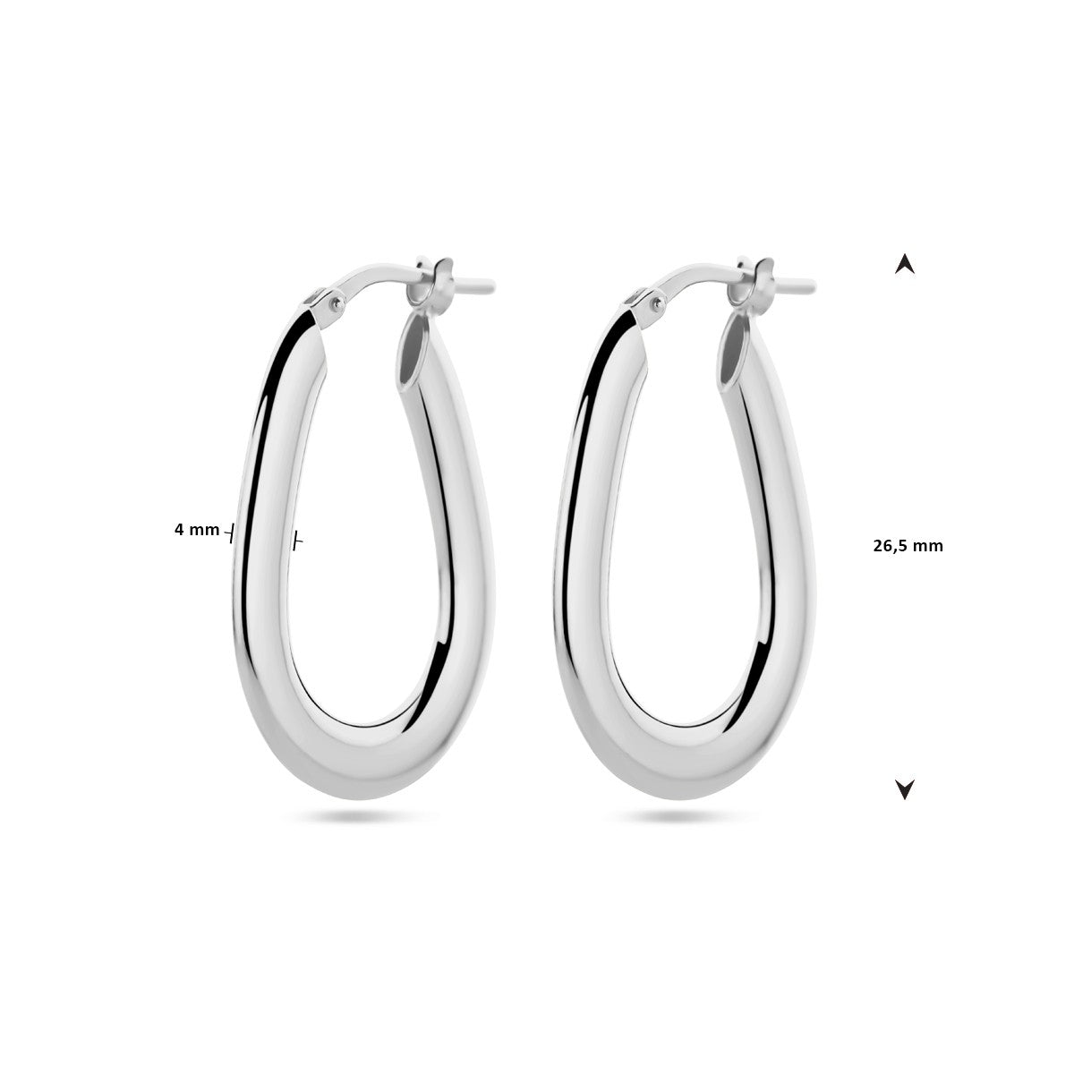 Fantasy Collection Oorbellen zilver
