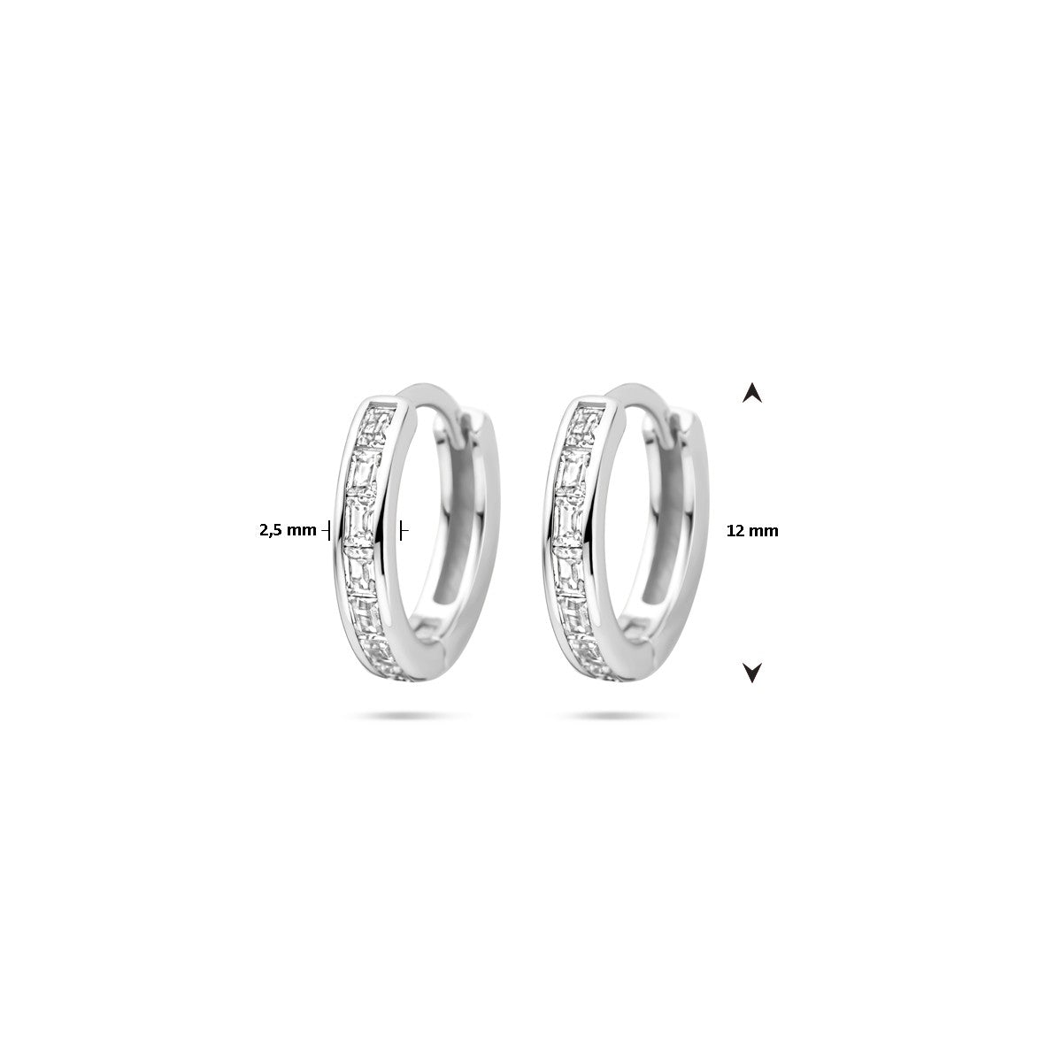 Fantasy Collection Oorbellen zirkonia 12 mm zilver