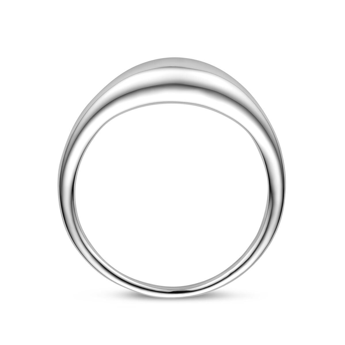 Fantasy Collection Ring zilver