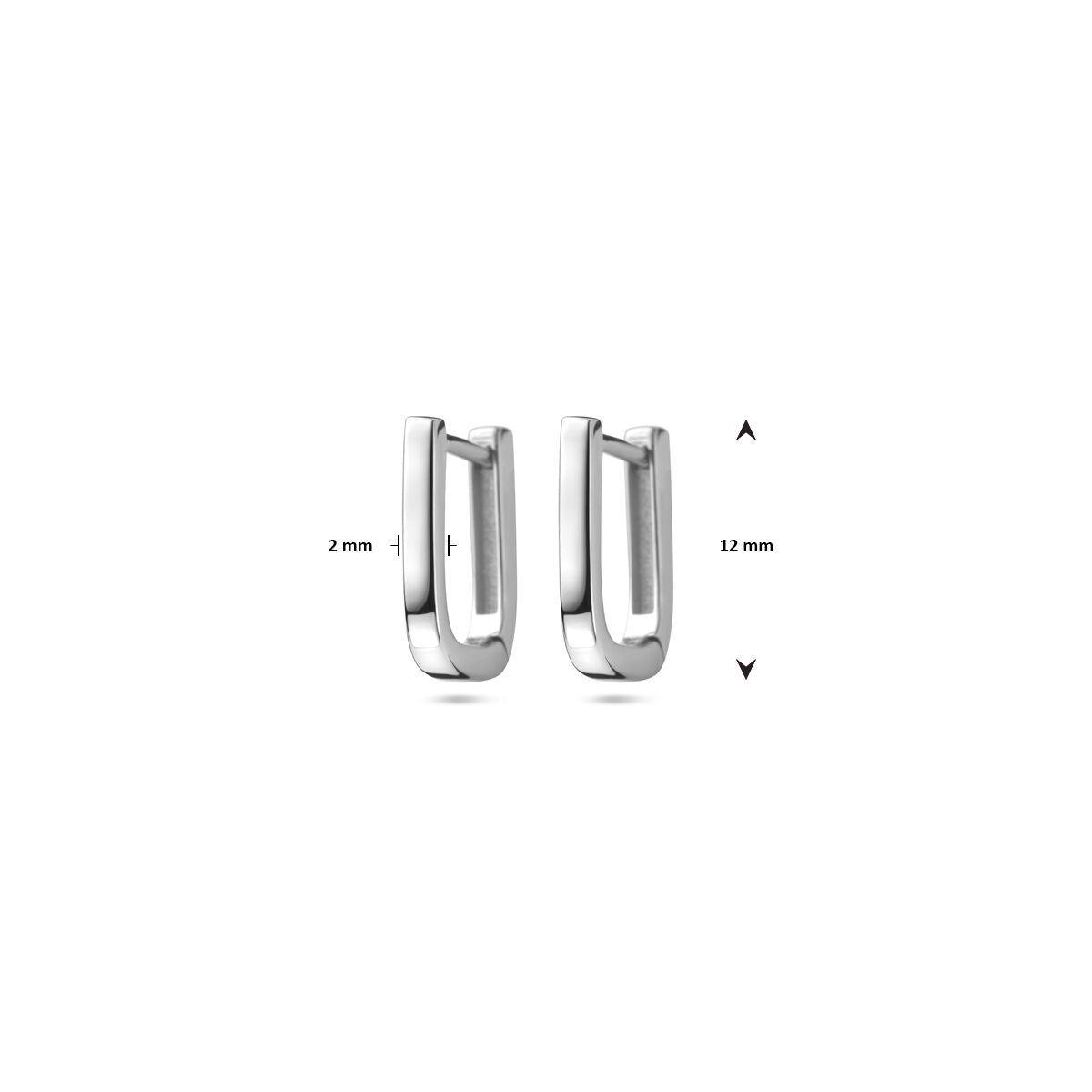 Fantasy Collection Oorbellen 12 mm zilver
