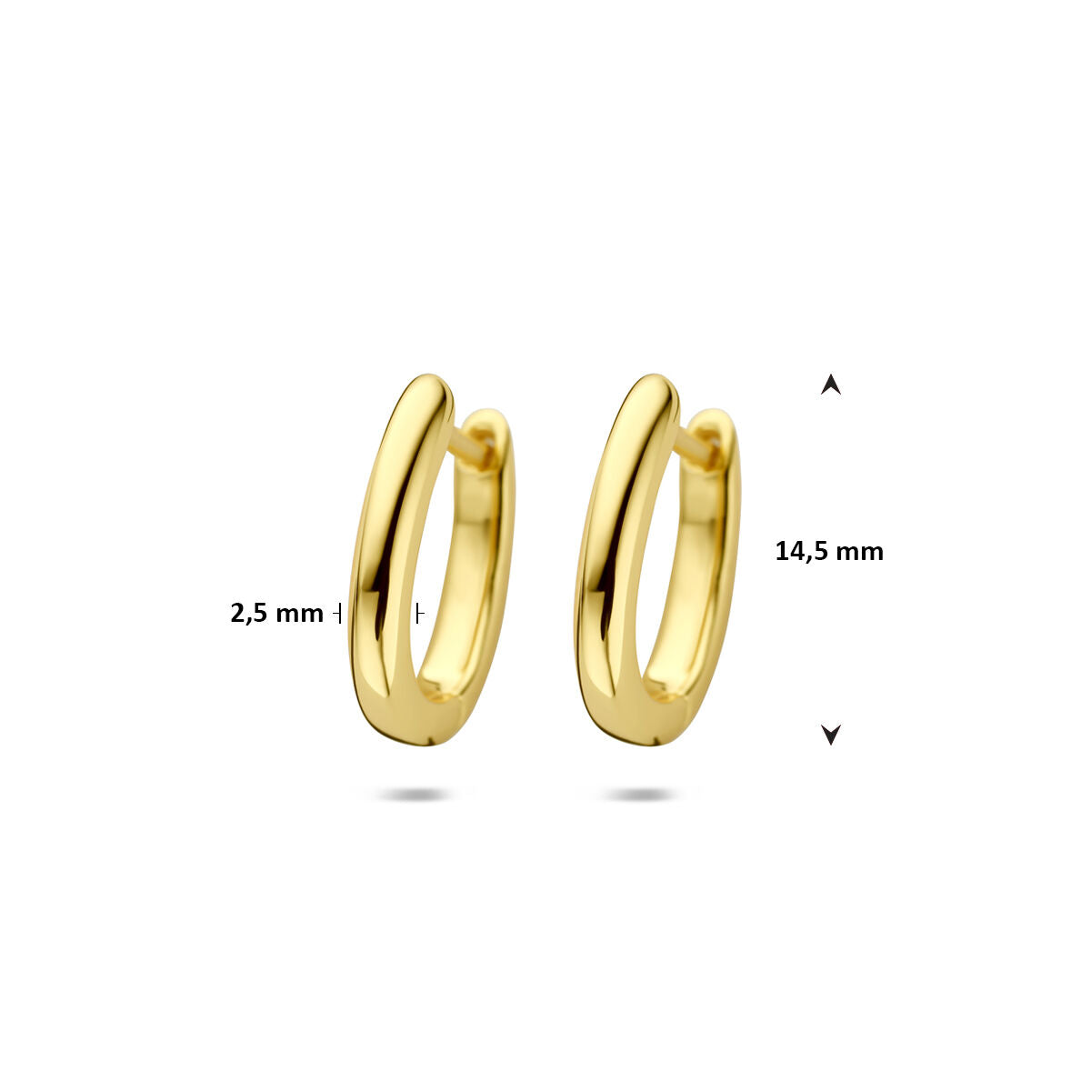 Fantasy Collection Oorbellen 14,5 mm 1 micron zilver verguld