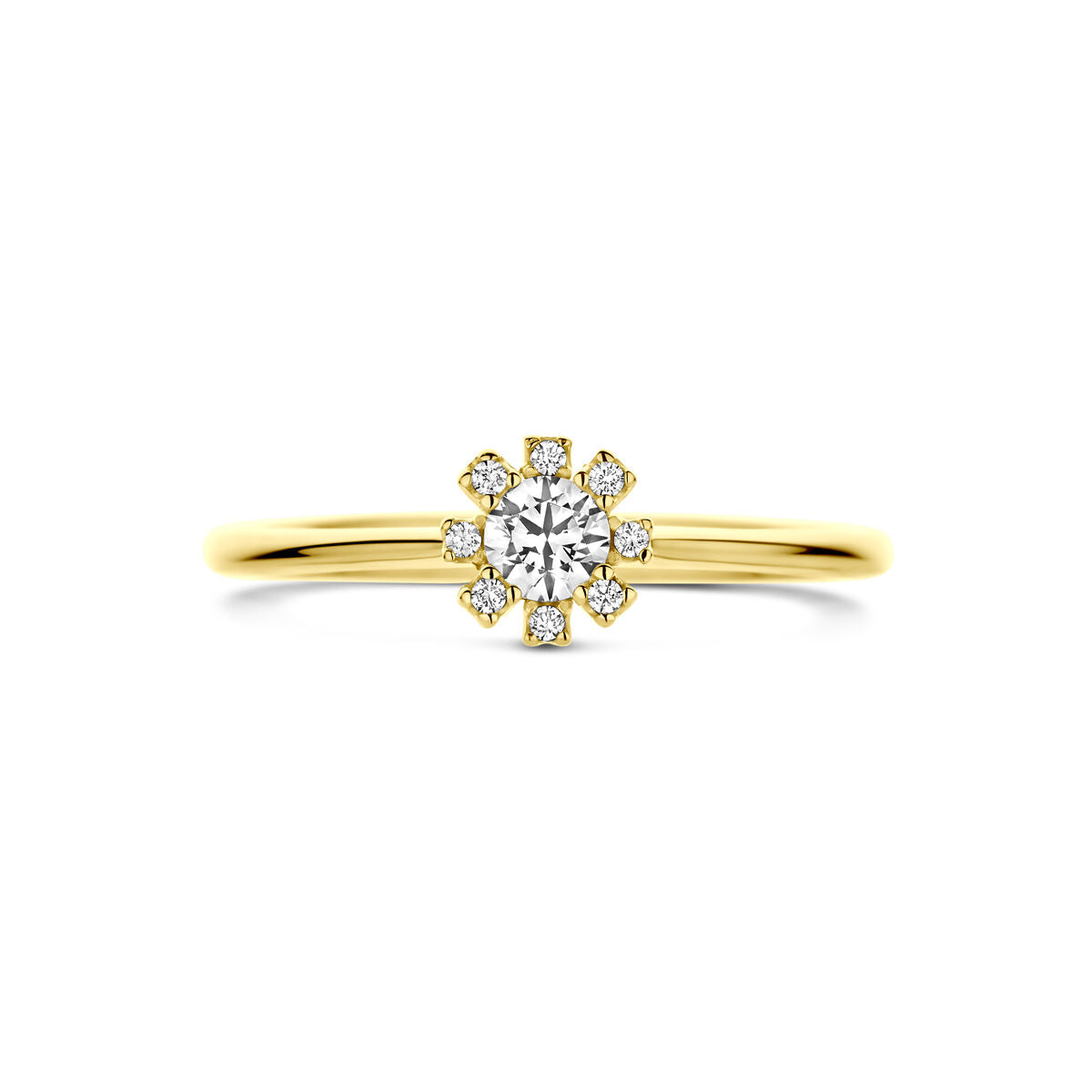 Fantasy Collection Ring rozet zirkonia 14K geelgoud
