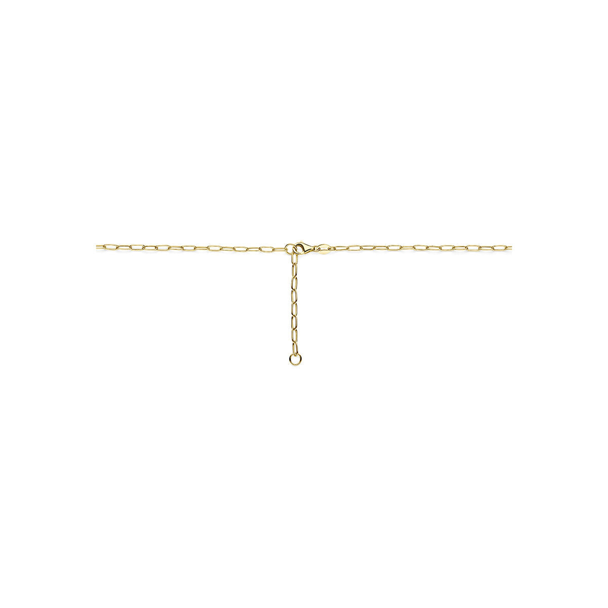Collier 14K geelgoud 41 + 4 cm 5 mm