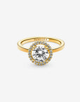 Pandora 14k Goud Vergulde Sparkling Halo ring 161234C01 - PansiteNederland.nl