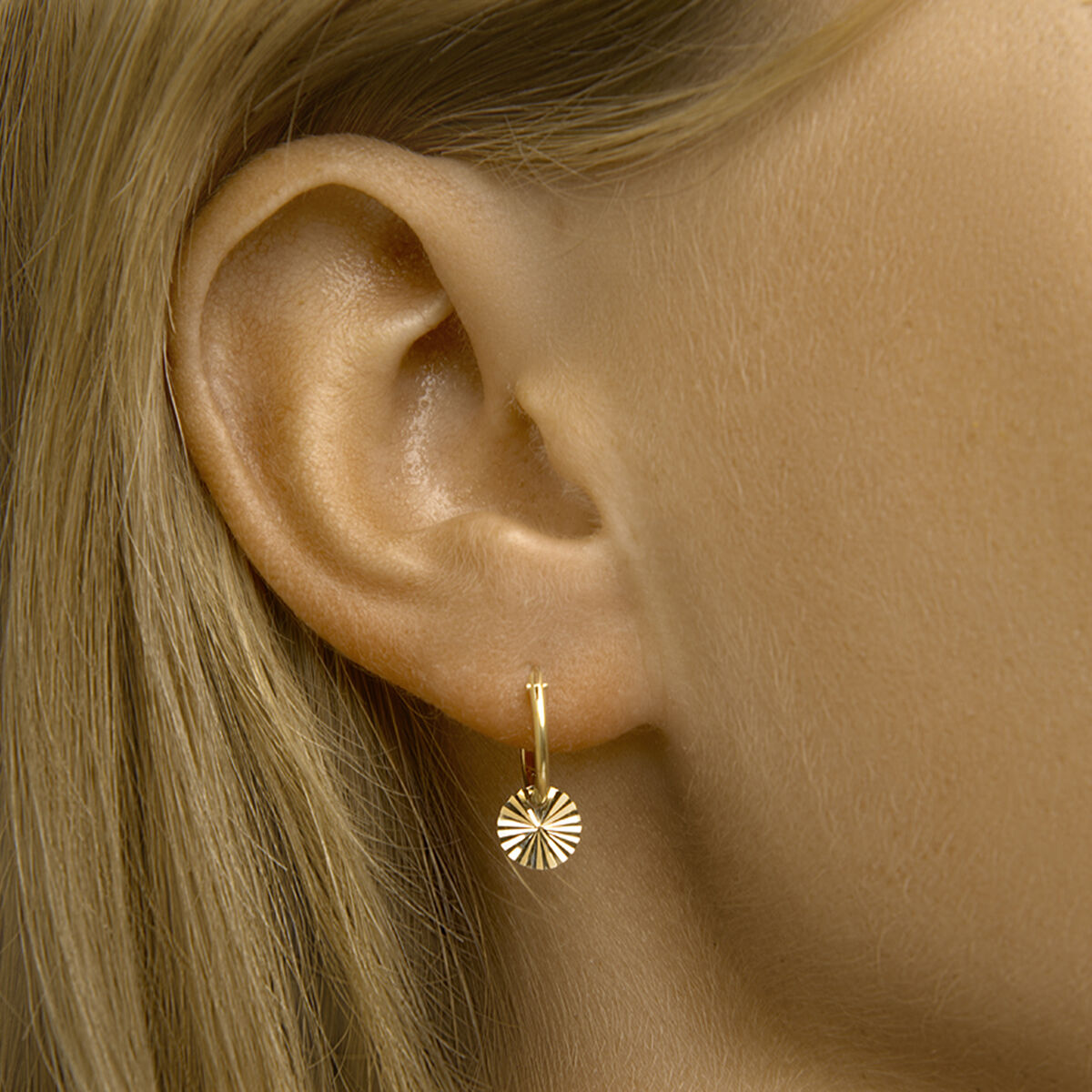 Fantasy Collection Oorbellen rondje gediamanteerd 14K geelgoud