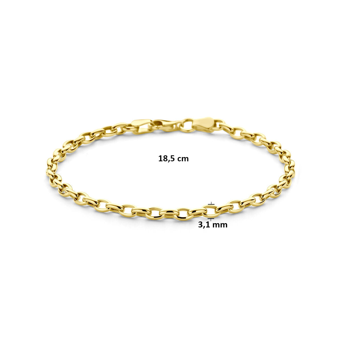 Fantasy Collection 9K armband anker 3,1 mm 18,5 cm 9K geelgoud