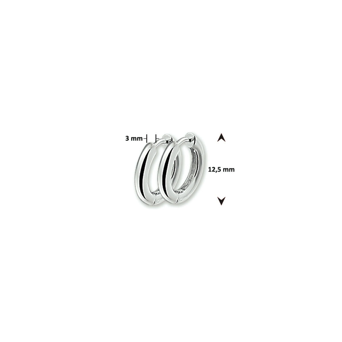 Fantasy Collection Oorbellen bol zilver