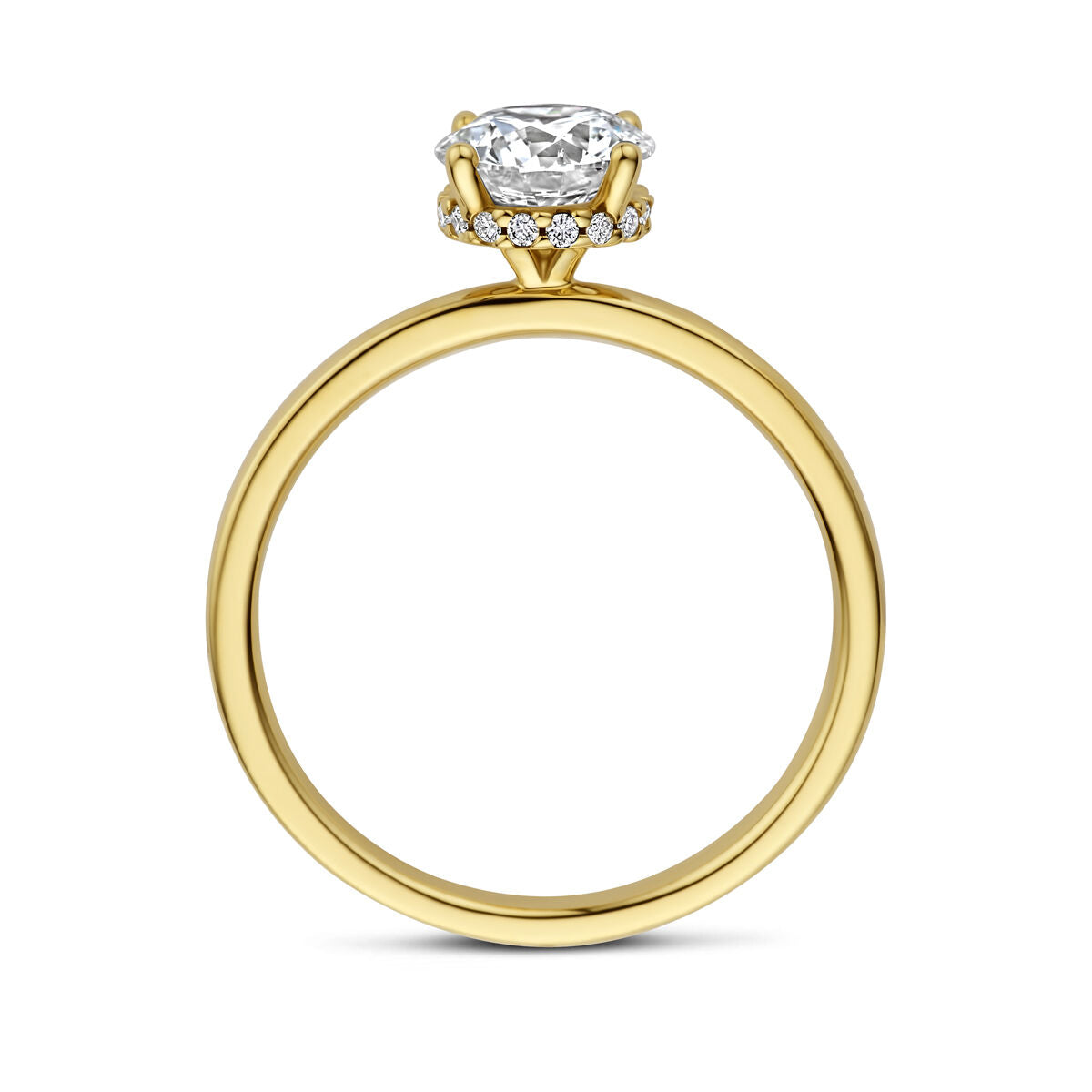 Fantasy Collection 14K Geelgouden Diamanten Ring 4036211