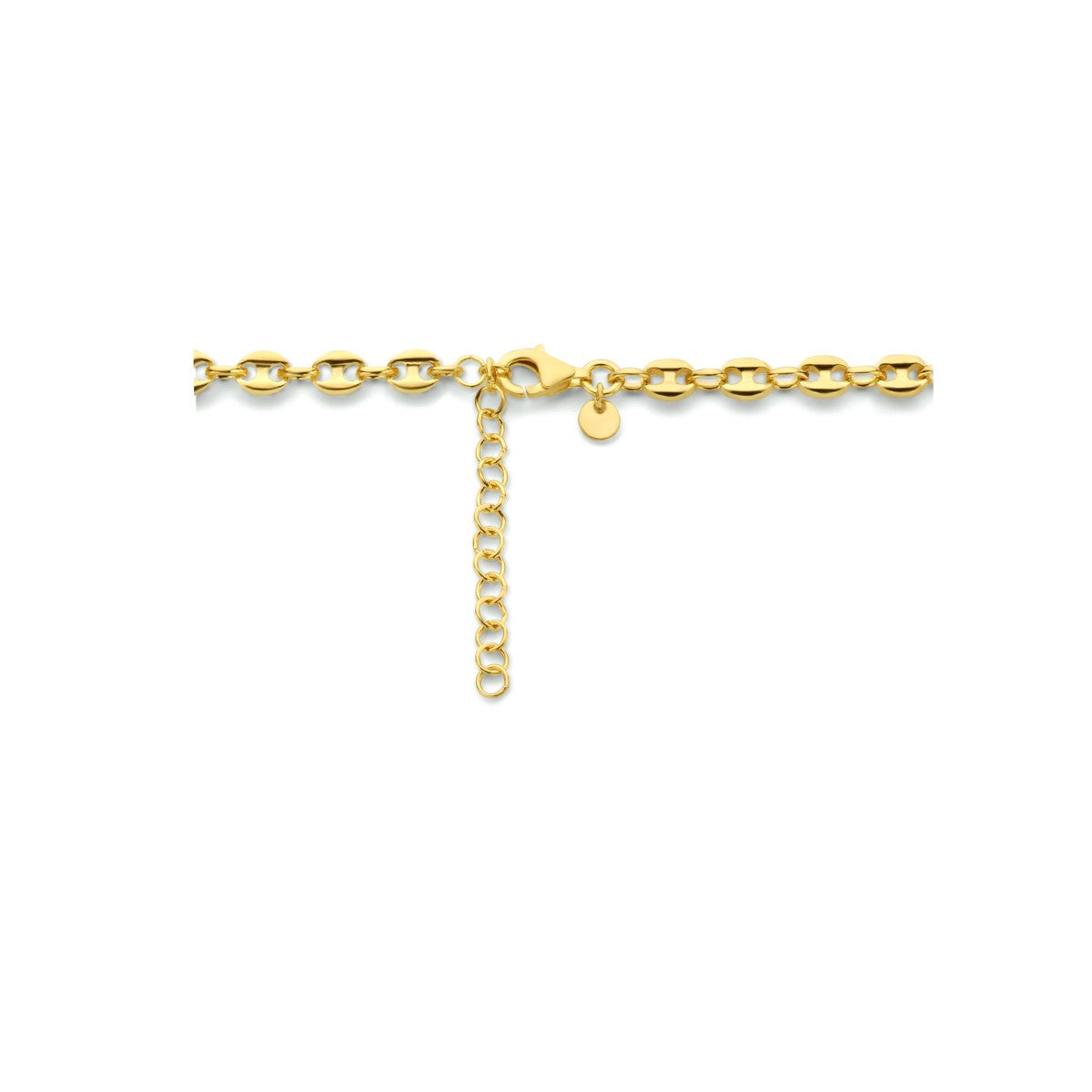 Fantasy Collection Collier paperclip ronde buis gedraaid 4,3 mm 40 + 4 cm 3 micron zilver verguld