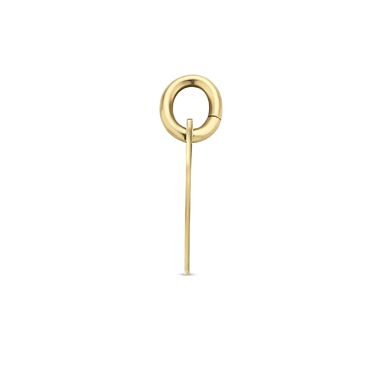 Fantasy Collection Graveerhanger rond 3 micron 25 mm zilver verguld