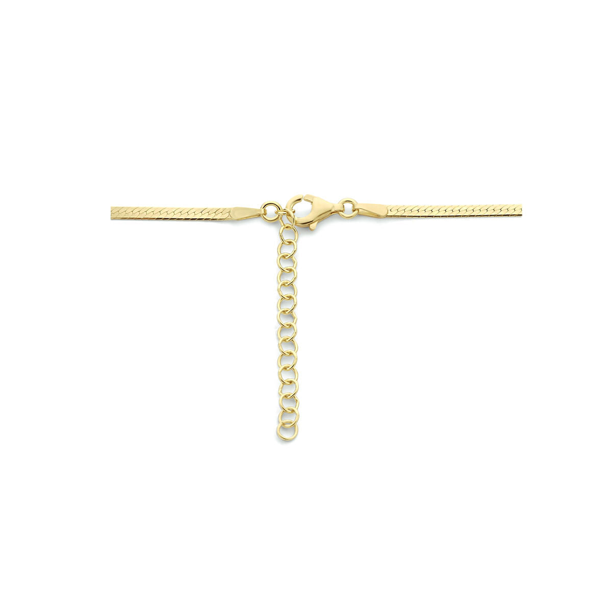 Fantasy Collection Collier slang plat 2,0 mm 40 + 4 cm 3 micron zilver verguld