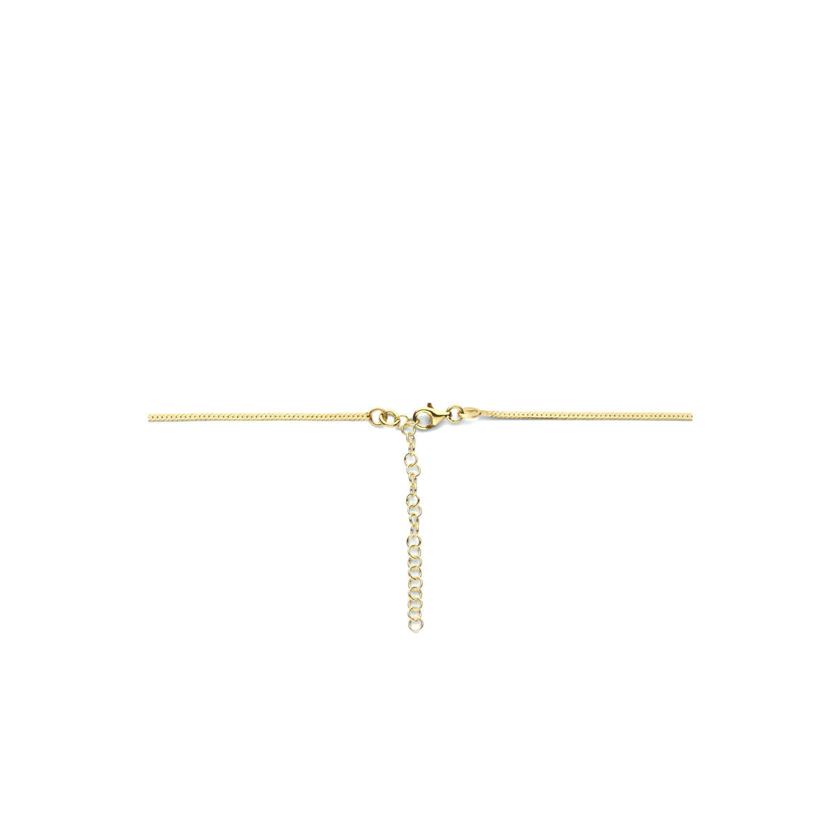 Fantasy Collection Collier slang plat 1,7 mm 40 + 5 cm 3 micron zilver verguld