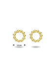Zilver Verguld (Geel) Oorknoppen Rond 1 Micron 2103175 - PansiteNederland.nl