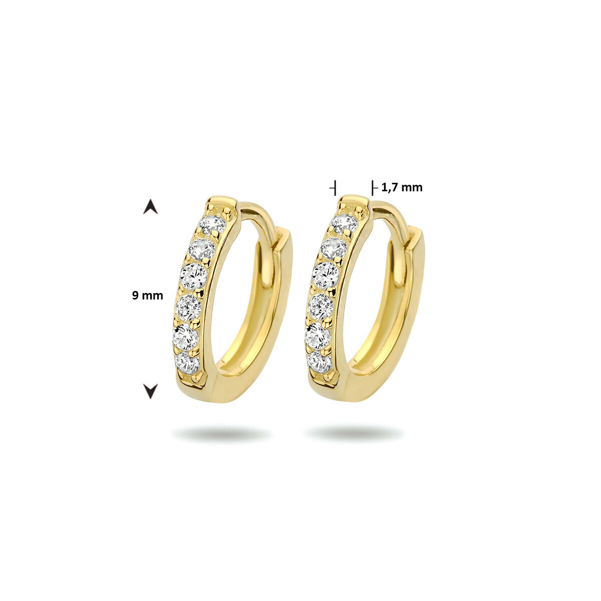Fantasy Collection Oorbellen zirkonia 9 mm 1 micron zilver verguld
