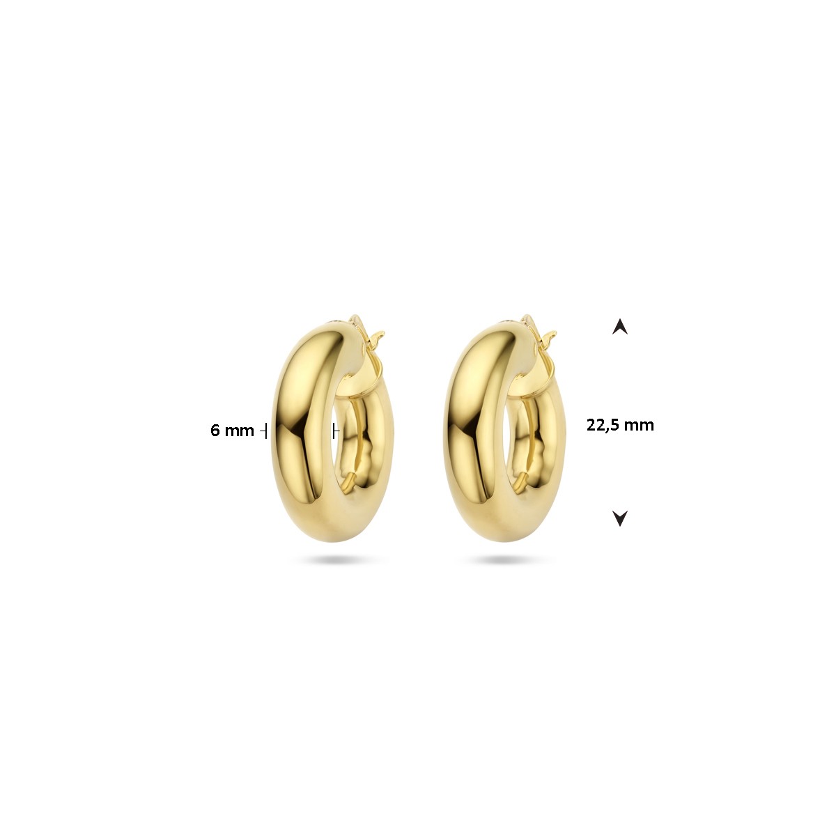 Oorbellen 6,0 mm ronde buis 1 micron zilver verguld