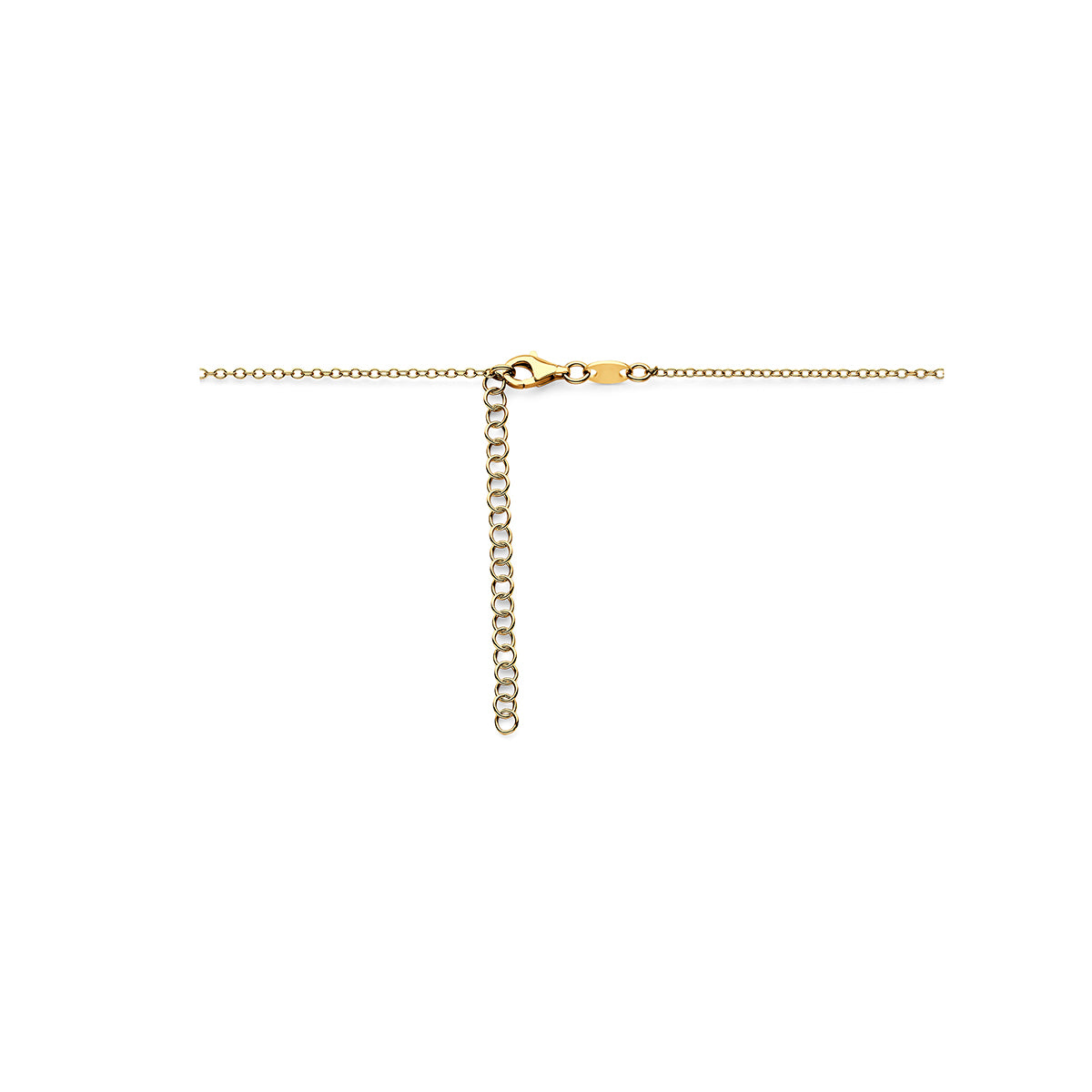 Collier Verguld Zilver