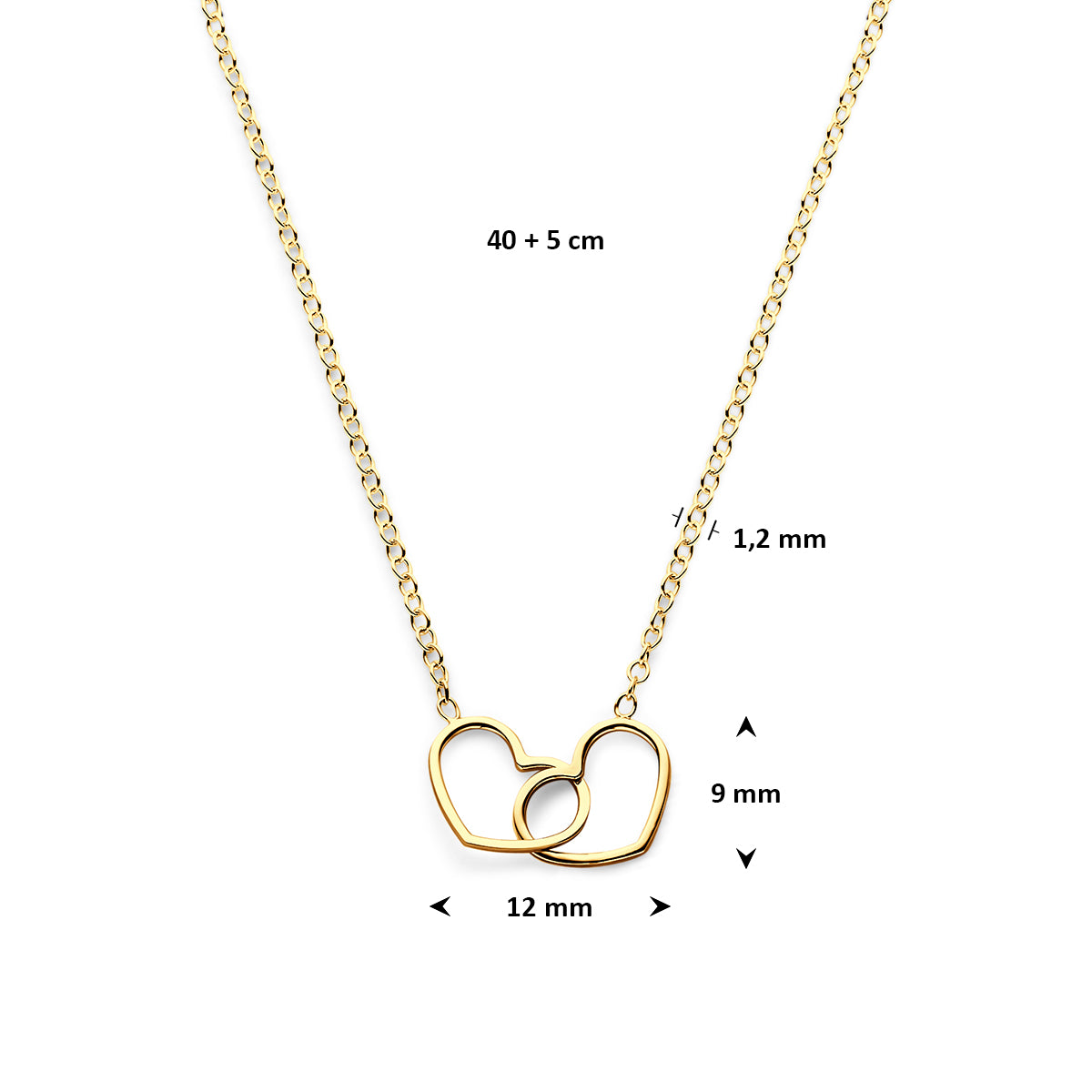 Collier Verguld Zilver