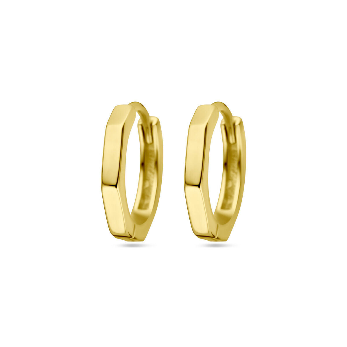 Fantasy Collection Oorbellen 1 micron zilver verguld