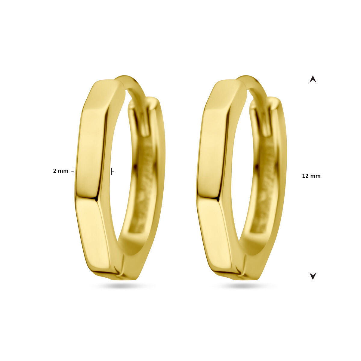 Fantasy Collection Oorbellen 1 micron zilver verguld