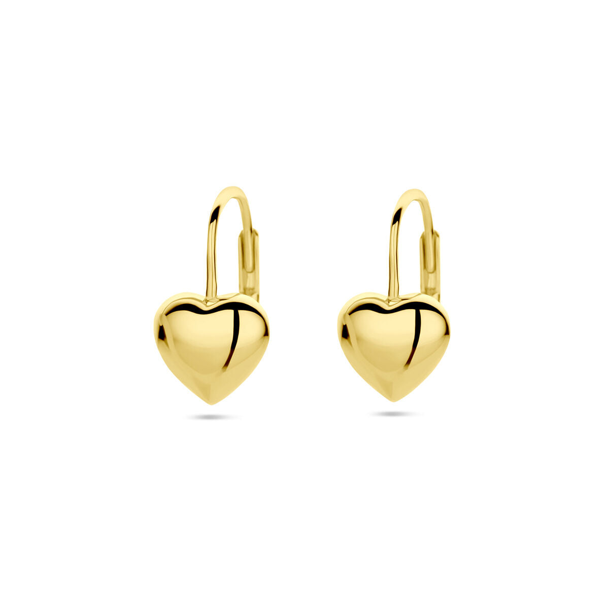 Fantasy Collection Hangende oorbellen hart brisure haak 1 micron zilver verguld