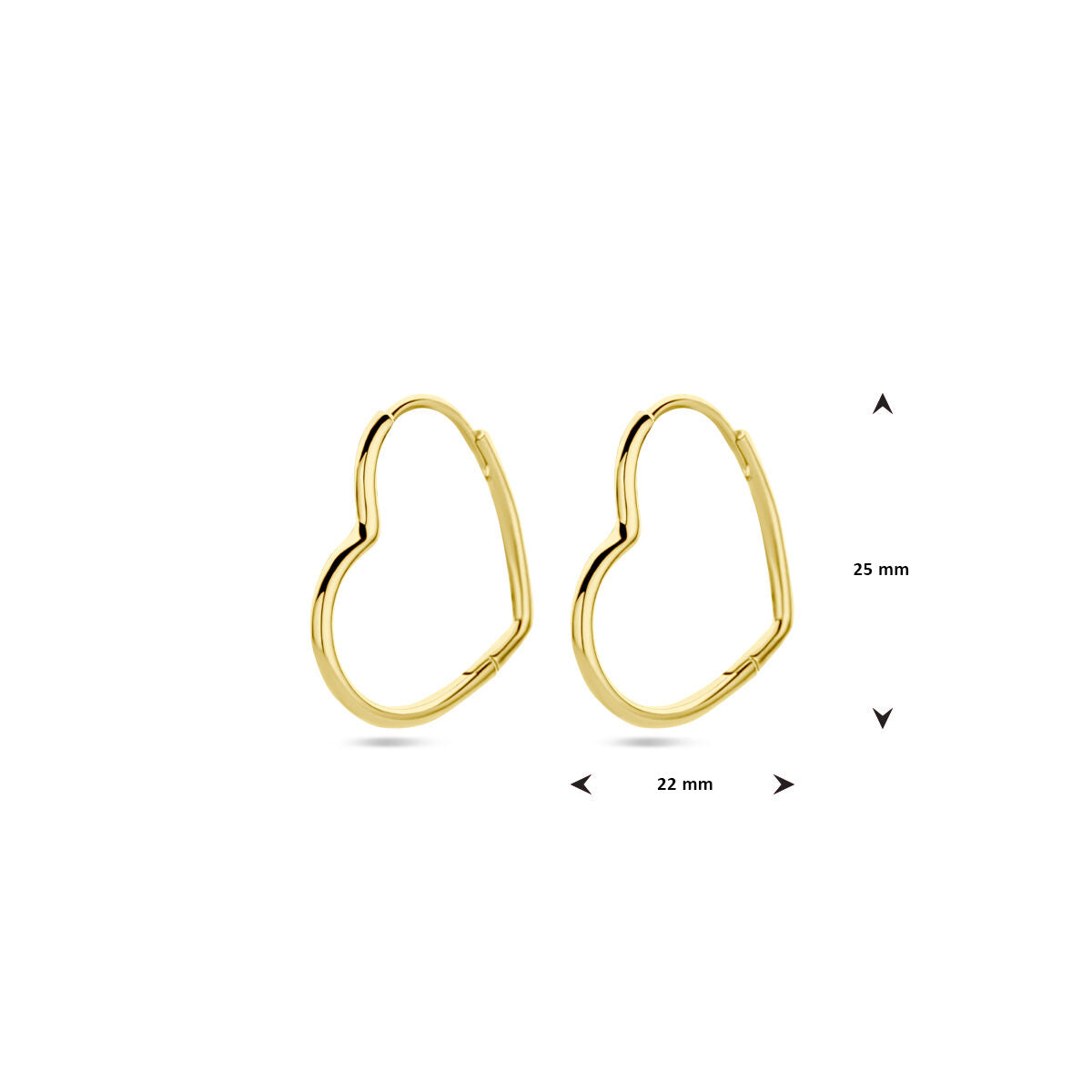 Fantasy Collection Oorbellen hart 22 mm 1 micron zilver verguld