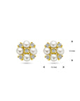 Zilver Verguld (Geel) Oorknoppen Parel En Zirkonia 1 Micron 2103530 - PansiteNederland.nl