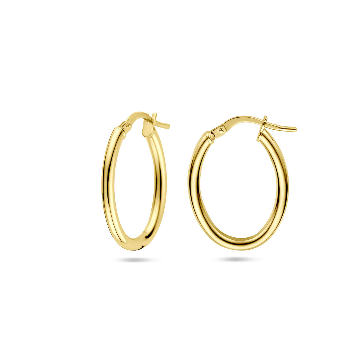 Fantasy Collection Oorbellen 23 mm silgold