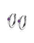 Zinzi oorringen FEBRUARI zilver met geboortesteen paars amethist zirkonia 13mm ZICRZ-FEB - PansiteNederland.nl