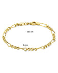 9 Karaat Geelgouden Armband 8000463 – 4 mm 18,5 cm