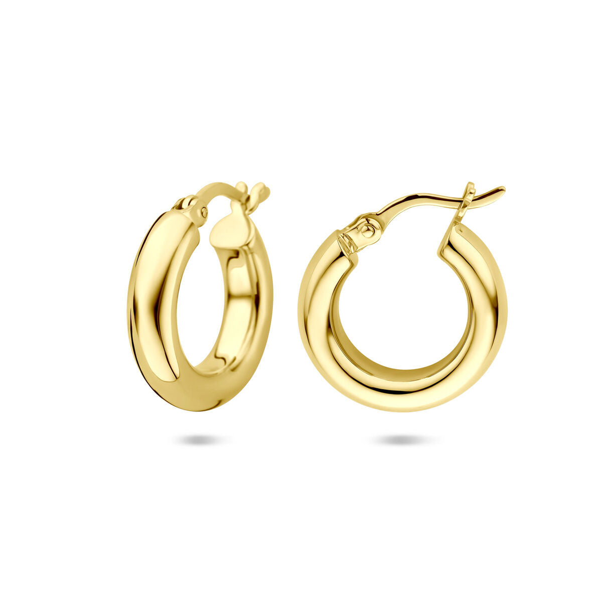 Fantasy Collection Oorbellen 17 mm 1 micron zilver verguld