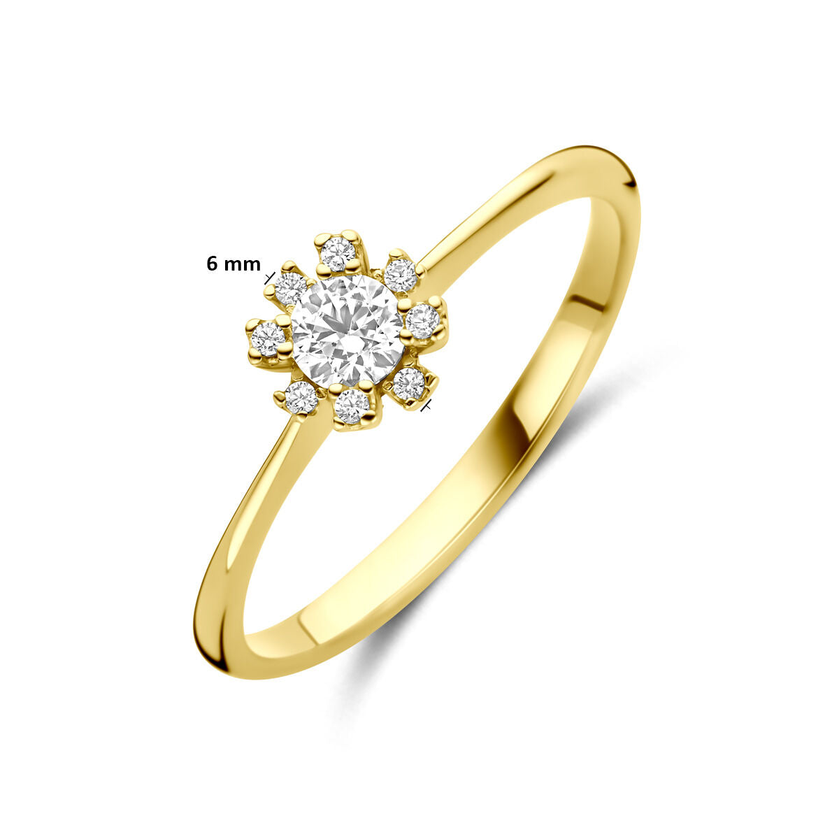 Fantasy Collection Ring rozet zirkonia 14K geelgoud