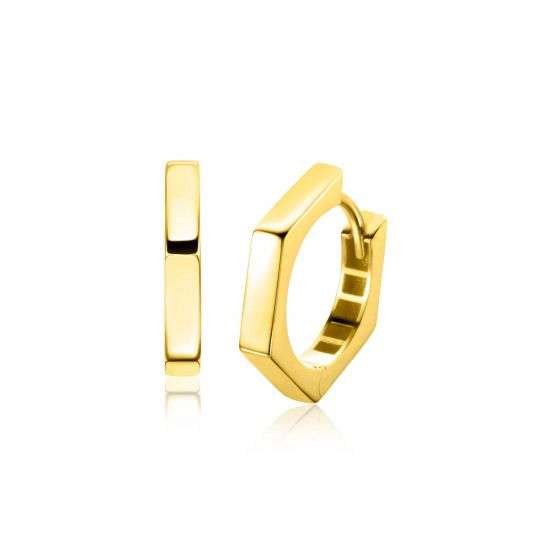 ZINZI 14K Gouden Oorbellen ZGO440
