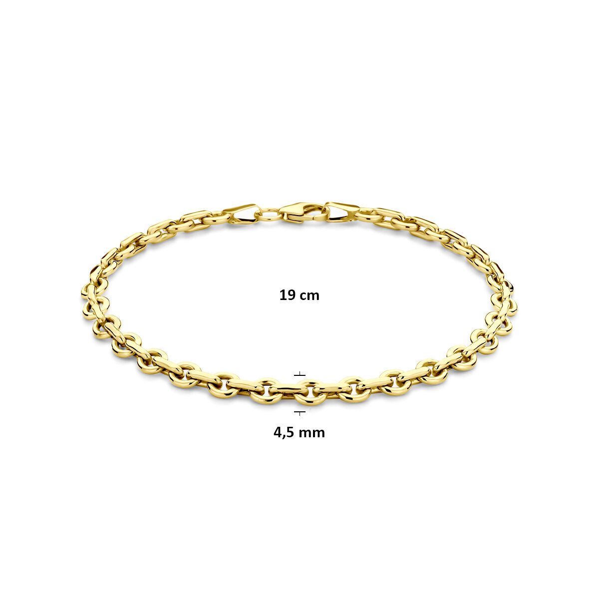 Fantasy Collection Armband anker massief 4,5 mm 19 cm silgold