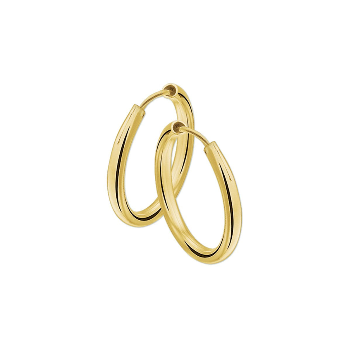 Fantasy Collection Oorbellen 2,5 mm ronde buis 14K geelgoud