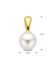 14K geelgoud hanger parel 12 mm 4002204 - PansiteNederland.nl