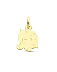 14K geelgoud hanger meisje 15 x 11 mm 4005850 - PansiteNederland.nl