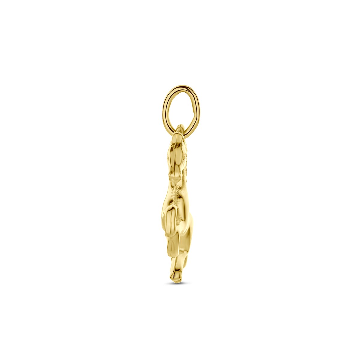Hanger paard 14K geelgoud