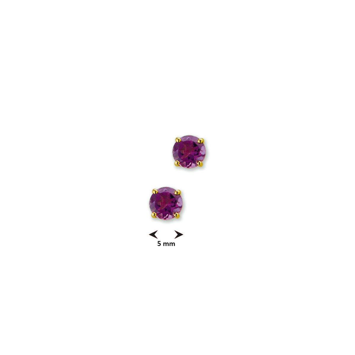 Fantasy Collection Oorbellen amethist 14K geelgoud
