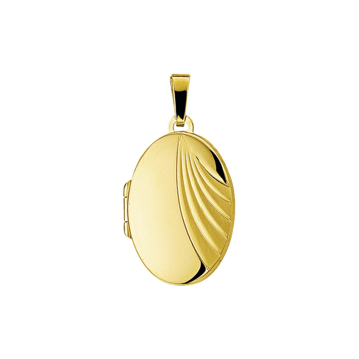 Fantasy Collection Medaillon poli/mat 23,5 mm 14K geelgoud hanger