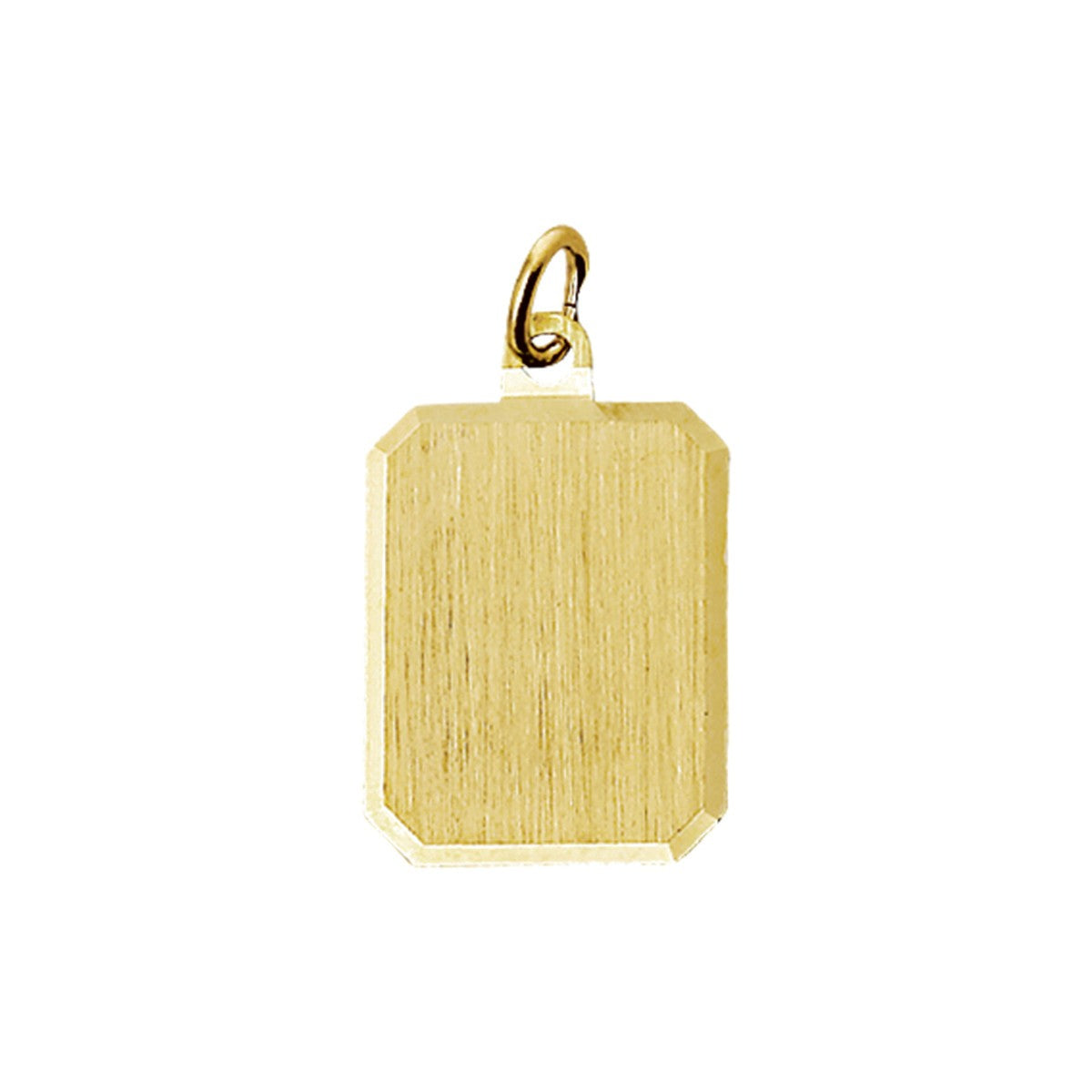 Fantasy Collection Graveerhanger mat gediamanteerd 14K geelgoud