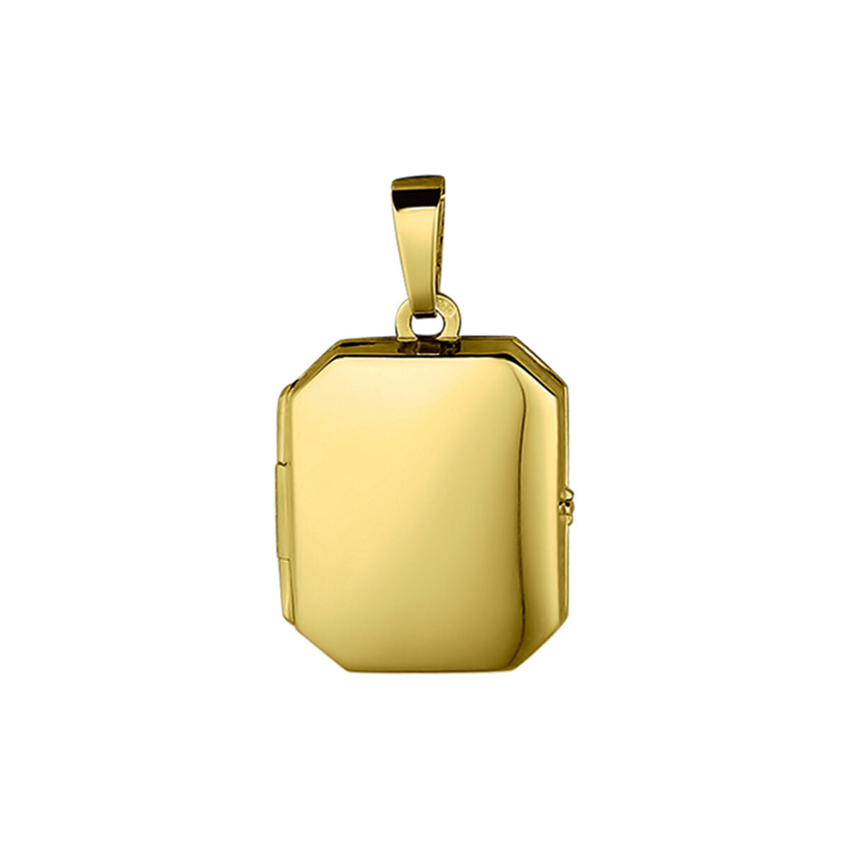 Fantasy Collection Medaillon 21 mm 14K geelgoud hanger