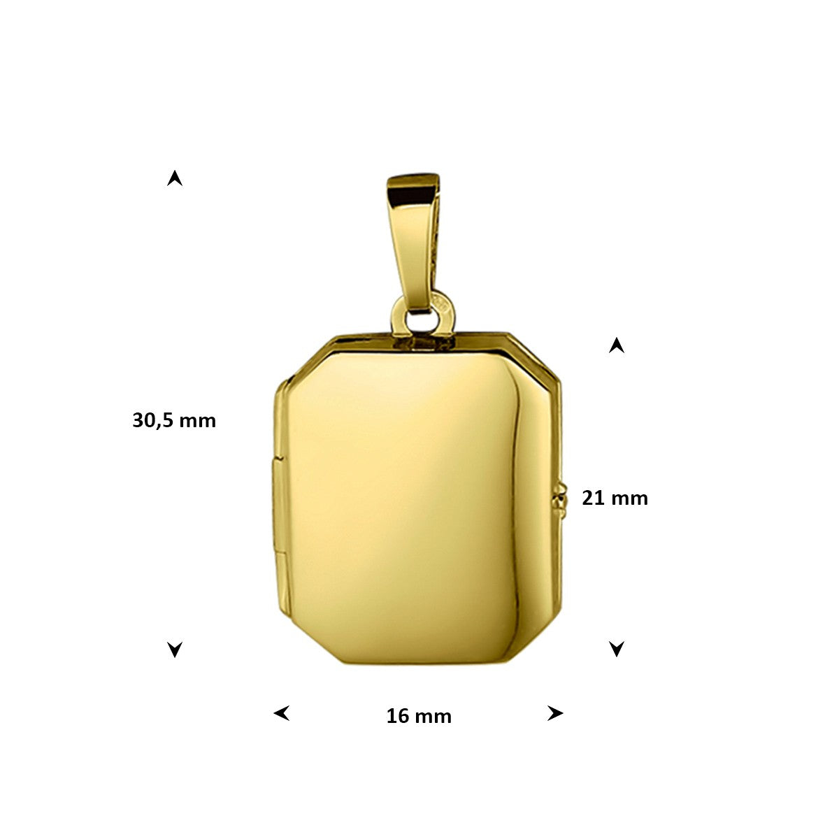 Medaillon 21 mm 14K geelgoud