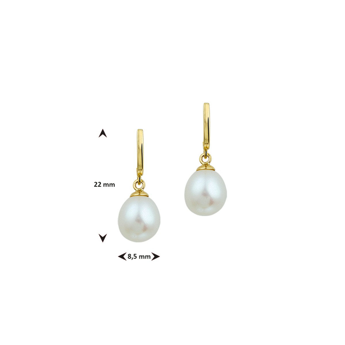 Hangende oorbellen parel 12 x 8,5 mm 14K geelgoud