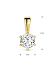 14K geelgoud hanger zirkonia 4017144 - PansiteNederland.nl