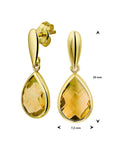 14K Geelgoud Oorhangers Citrien 4017178 - PansiteNederland.nl