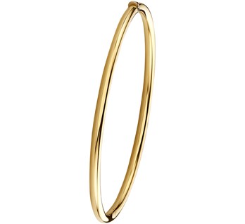 Fantasy Collection Bangle scharnier ronde buis 14K geelgoud