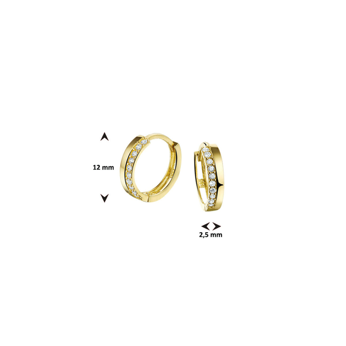 Fantasy Collection Oorbellen zirkonia 12 mm 14K geelgoud