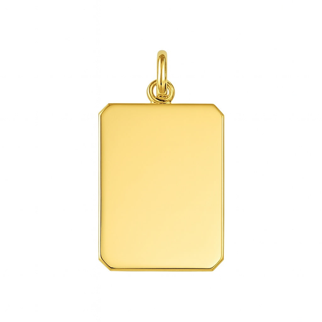 Fantasy Collection Graveerhanger mat gediamanteerd 16 mm 14K geelgoud